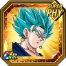 Miraculous Re-Fusion Super Saiyan God SS Vegito