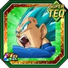 Bonds Beyond Time Super Saiyan God SS Vegeta