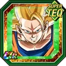 Extreme Power Brawl Super Saiyan 3 Goku (Angel)