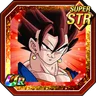 Determined Fusion Vegito