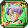 Wish Entrusted by the Hero Trunks (Kid)