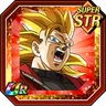 Super Warrior on a Whole Other Level Super Saiyan 3 Goku (Xeno)