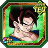 Fused Fighter and Savior of the Future Vegito