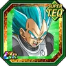 Definitive Strength Super Saiyan God SS Vegeta