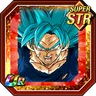 Extreme Fight Super Saiyan God SS Goku