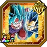 Beyond Boundless Power Super Saiyan God SS Goku (Kaioken) & Super Saiyan God SS Evolved Vegeta