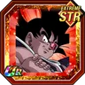 Shadow of Aggression Turles