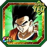 Leader of Team Universe 7 Ultimate Gohan
