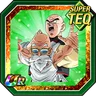 Teamwork Across Schools Master Roshi & Tien