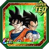 Spirited Challenge Goku & Vegeta