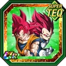 Pulse of the Crimson Divine Warriors Super Saiyan God Goku & Super Saiyan God Vegeta