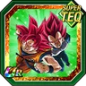 Domain of Supremacy Super Saiyan God Goku & Super Saiyan God Vegeta