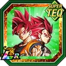 Divine Warriors with Infinite Power Super Saiyan God Goku & Super Saiyan God Vegeta