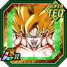 Extraordinary Super Warrior Super Saiyan Goku