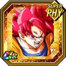 Fighter Entrusted with Allies' Wishes Super Saiyan God Goku
