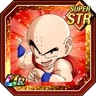 Hard-Working Martial Artist Krillin
