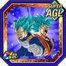 Indomitable Fighters' Counterattack Super Saiyan God SS Goku & Super Saiyan God SS Vegeta