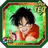 Wolf of the Turtle School Yamcha