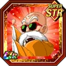 Next-Generation-Guiding Turtle School Master Roshi