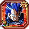 Fight to Protect Pride and Keep Oaths Super Saiyan God SS Evolved Vegeta