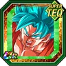 Ceaseless Combat Super Saiyan God SS Goku (Kaioken)