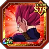 Abused Divine Power Super Saiyan God Vegeta (Ultra Supervillain)