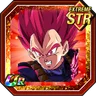 Evil-Stained Fighting Spirit Super Saiyan God Vegeta (Ultra Supervillain)